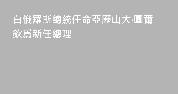 白俄羅斯總統任命亞歷山大·圖爾欽爲新任總理