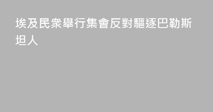 埃及民衆舉行集會反對驅逐巴勒斯坦人