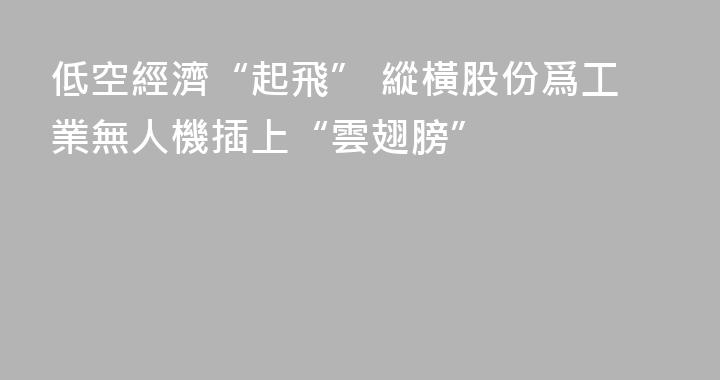 低空經濟“起飛” 縱橫股份爲工業無人機插上“雲翅膀”