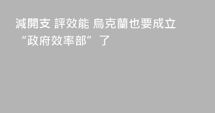 減開支 評效能 烏克蘭也要成立“政府效率部”了