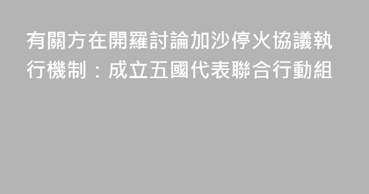 有關方在開羅討論加沙停火協議執行機制：成立五國代表聯合行動組