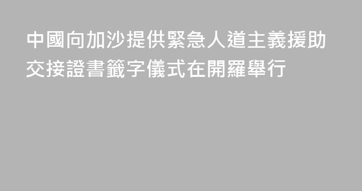 中國向加沙提供緊急人道主義援助交接證書籤字儀式在開羅舉行