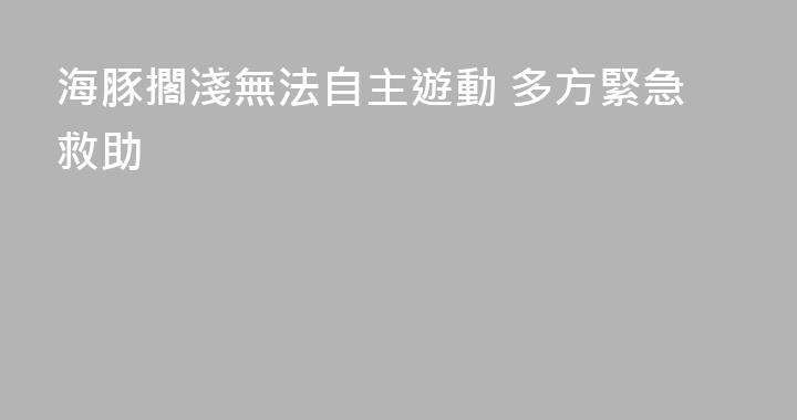 海豚擱淺無法自主遊動 多方緊急救助