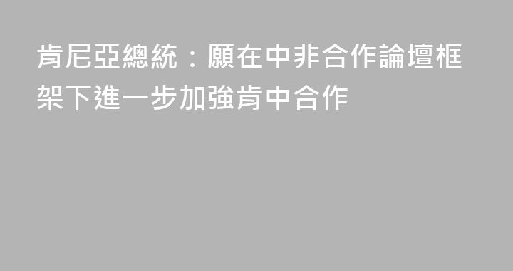 肯尼亞總統：願在中非合作論壇框架下進一步加強肯中合作