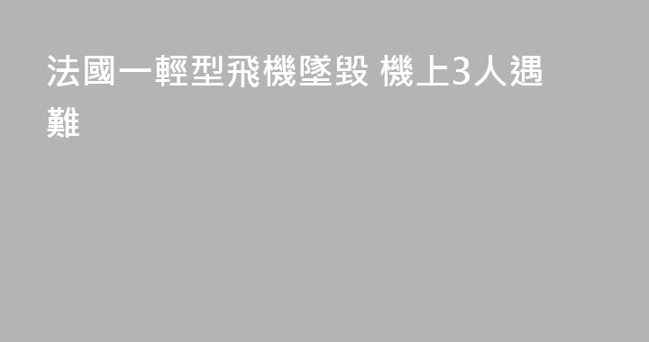 法國一輕型飛機墜毀 機上3人遇難