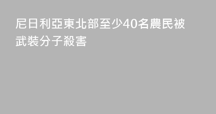 尼日利亞東北部至少40名農民被武裝分子殺害