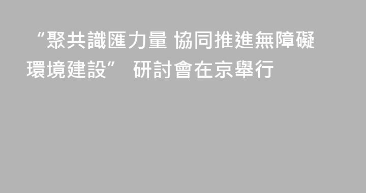 “聚共識匯力量 協同推進無障礙環境建設” 研討會在京舉行