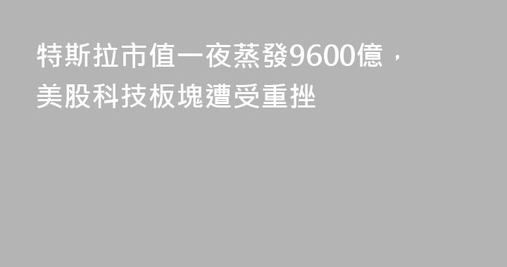 特斯拉市值一夜蒸發9600億，美股科技板塊遭受重挫