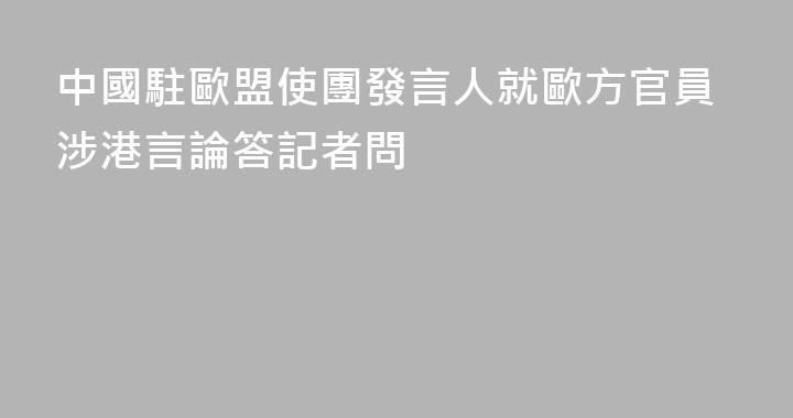 中國駐歐盟使團發言人就歐方官員涉港言論答記者問