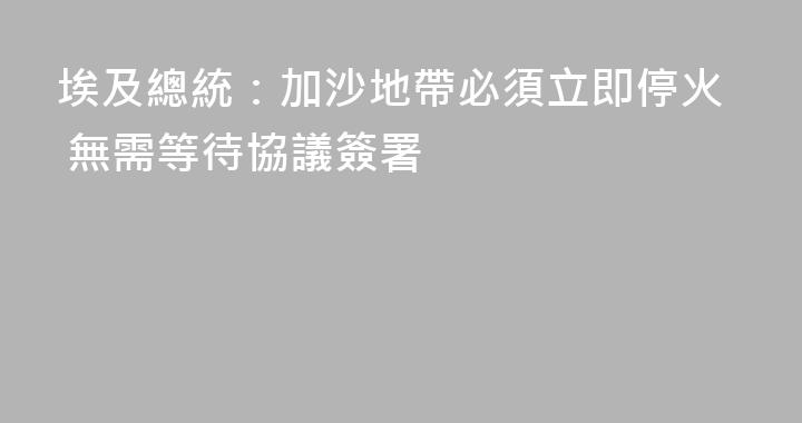 埃及總統：加沙地帶必須立即停火 無需等待協議簽署