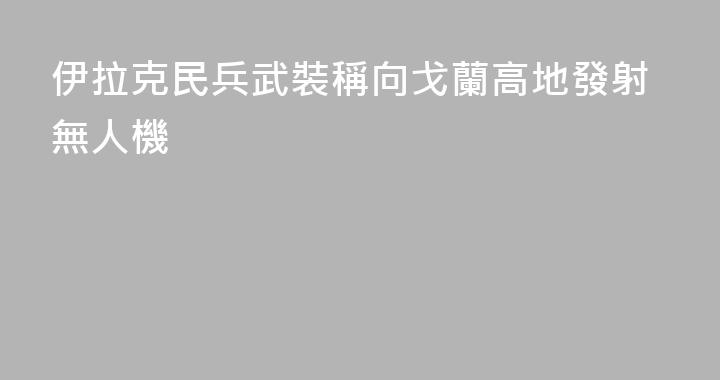 伊拉克民兵武裝稱向戈蘭高地發射無人機