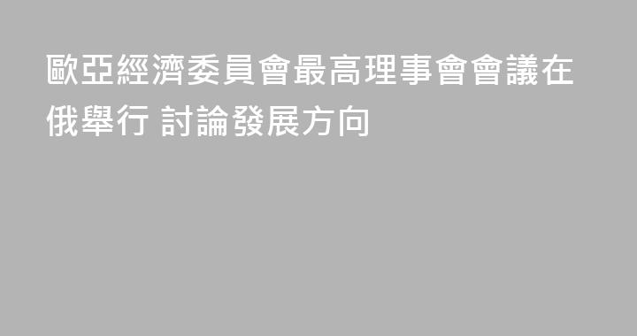 歐亞經濟委員會最高理事會會議在俄舉行 討論發展方向