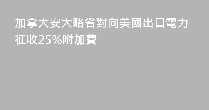 加拿大安大略省對向美國出口電力征收25%附加費