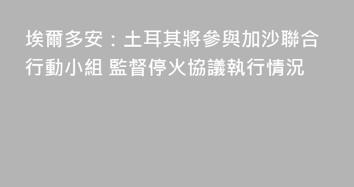 埃爾多安：土耳其將參與加沙聯合行動小組 監督停火協議執行情況