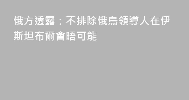 俄方透露：不排除俄烏領導人在伊斯坦布爾會晤可能
