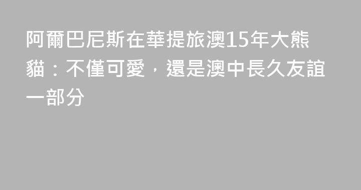 阿爾巴尼斯在華提旅澳15年大熊貓：不僅可愛，還是澳中長久友誼一部分