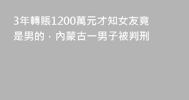 3年轉賬1200萬元才知女友竟是男的，內蒙古一男子被判刑