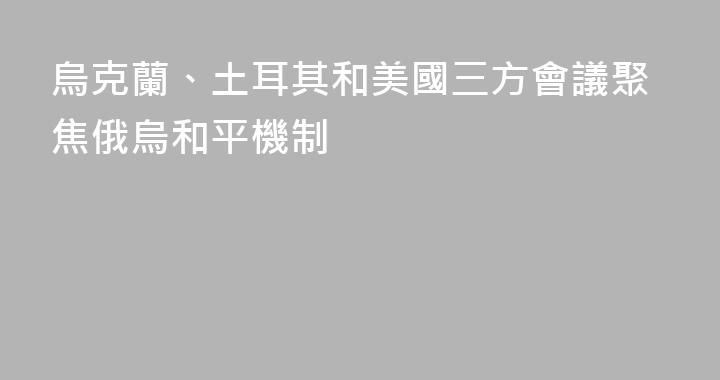 烏克蘭、土耳其和美國三方會議聚焦俄烏和平機制