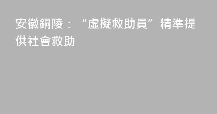 安徽銅陵：“虛擬救助員”精準提供社會救助