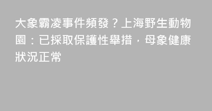 大象霸凌事件頻發？上海野生動物園：已採取保護性舉措，母象健康狀況正常