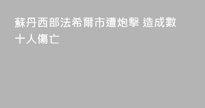 蘇丹西部法希爾市遭炮擊 造成數十人傷亡