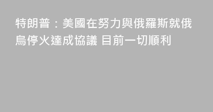 特朗普：美國在努力與俄羅斯就俄烏停火達成協議 目前一切順利