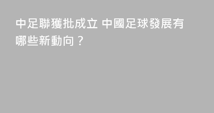 中足聯獲批成立 中國足球發展有哪些新動向？