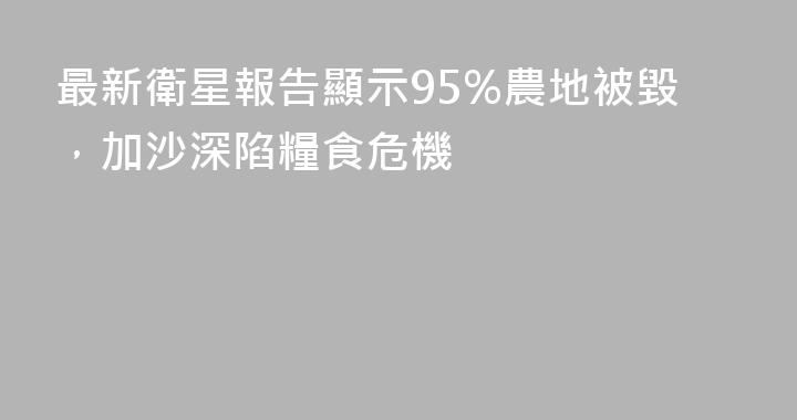 最新衛星報告顯示95%農地被毀，加沙深陷糧食危機