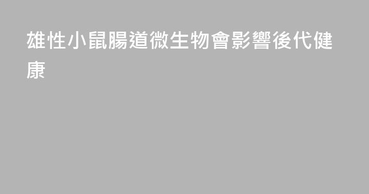 雄性小鼠腸道微生物會影響後代健康