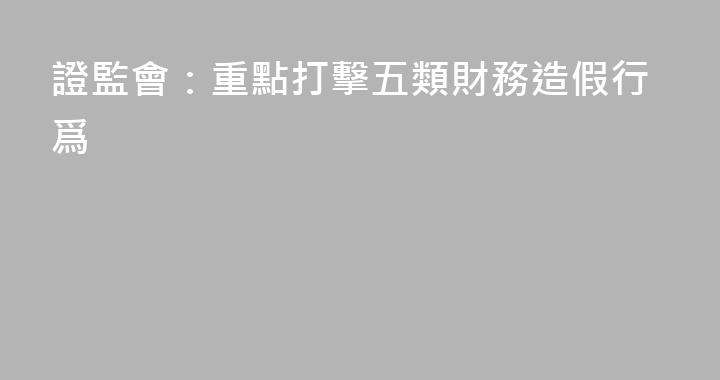 證監會：重點打擊五類財務造假行爲