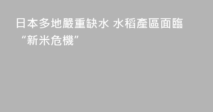 日本多地嚴重缺水 水稻產區面臨“新米危機”