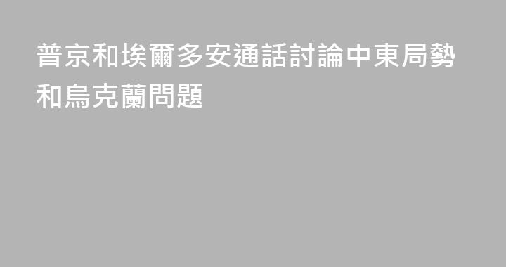 普京和埃爾多安通話討論中東局勢和烏克蘭問題