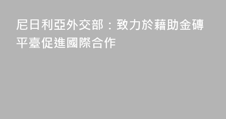 尼日利亞外交部：致力於藉助金磚平臺促進國際合作