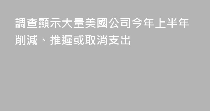 調查顯示大量美國公司今年上半年削減、推遲或取消支出