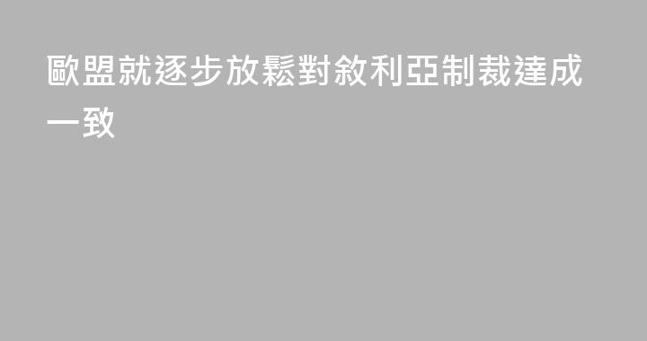 歐盟就逐步放鬆對敘利亞制裁達成一致