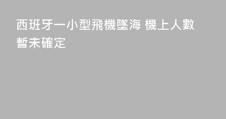 西班牙一小型飛機墜海 機上人數暫未確定
