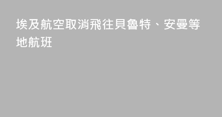 埃及航空取消飛往貝魯特、安曼等地航班