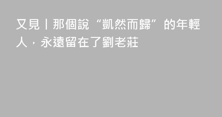又見丨那個說“凱然而歸”的年輕人，永遠留在了劉老莊