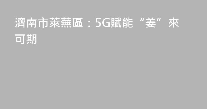 濟南市萊蕪區：5G賦能“姜”來可期