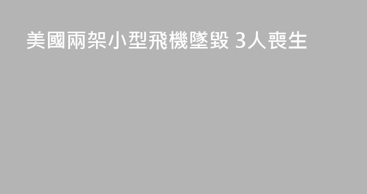 美國兩架小型飛機墜毀 3人喪生