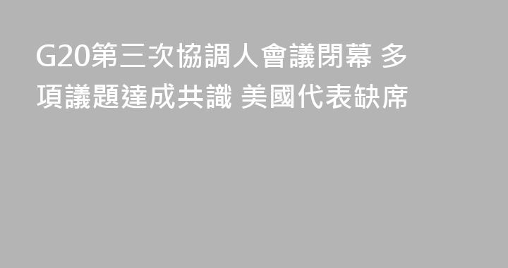 G20第三次協調人會議閉幕 多項議題達成共識 美國代表缺席