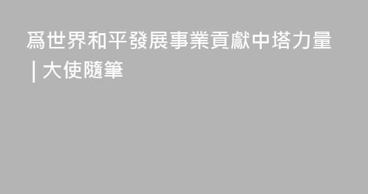 爲世界和平發展事業貢獻中塔力量 | 大使隨筆
