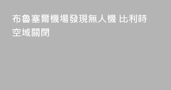 布魯塞爾機場發現無人機 比利時空域關閉