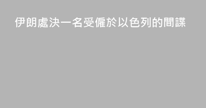 伊朗處決一名受僱於以色列的間諜