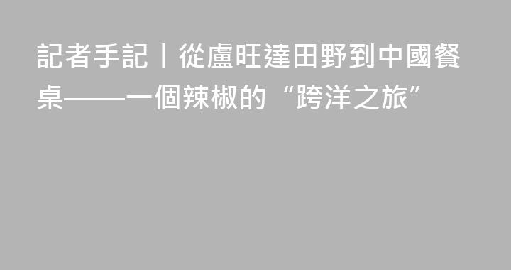 記者手記丨從盧旺達田野到中國餐桌——一個辣椒的“跨洋之旅”