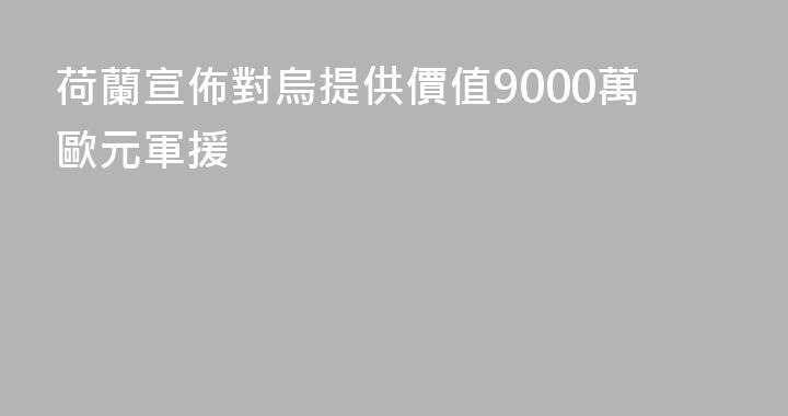 荷蘭宣佈對烏提供價值9000萬歐元軍援