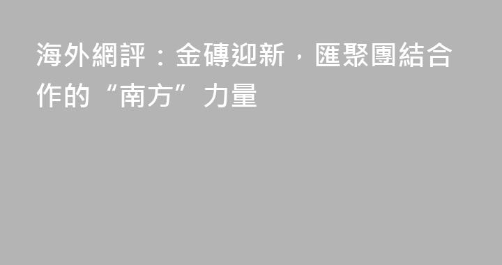 海外網評：金磚迎新，匯聚團結合作的“南方”力量