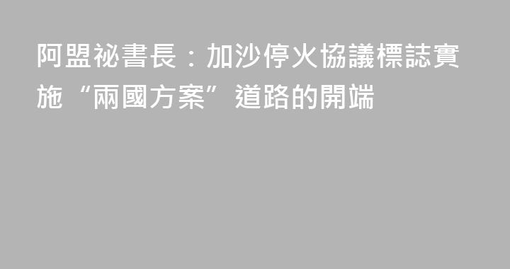阿盟祕書長：加沙停火協議標誌實施“兩國方案”道路的開端