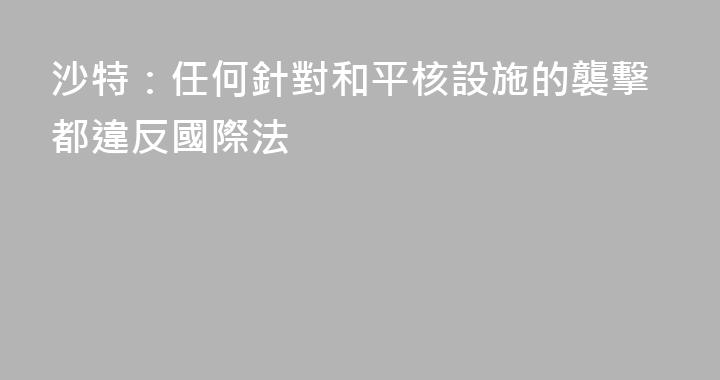 沙特：任何針對和平核設施的襲擊都違反國際法