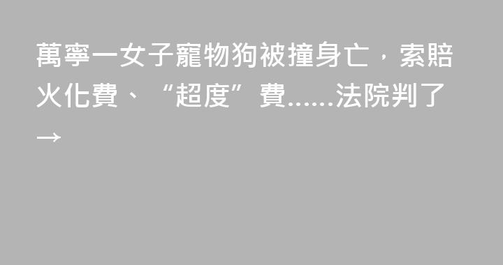 萬寧一女子寵物狗被撞身亡，索賠火化費、“超度”費……法院判了→